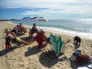 Watching for whales at Lake Pacific