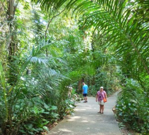 Jungle in Villahermosa Park Museo