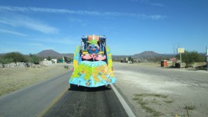 The things you see on the roads of Baja.