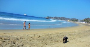 Even the dogs were nude on this beach!