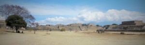 Monte Alban was a huge site