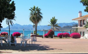Nice spot to camp in Guaymas